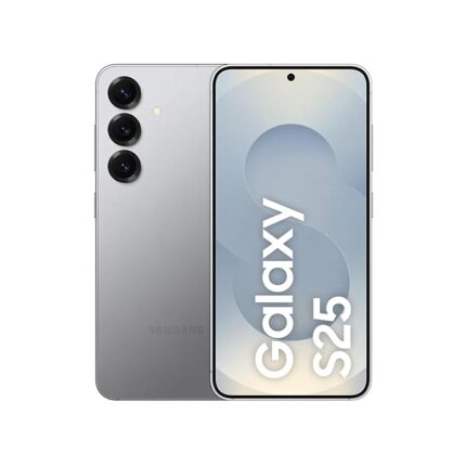 Samsung Galaxy S25 Silver Shadow